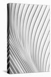 Calatrava Lines-Christopher Budny-Photographic Print