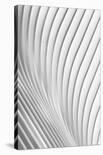 Calatrava Lines-Christopher Budny-Photographic Print