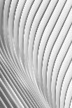 Calatrava Lines-Christopher Budny-Stretched Canvas