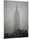 Premium Photographic Print