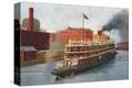 Stretched Canvas Print