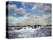 Stretched Canvas Print