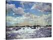 Stretched Canvas Print