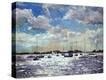 Stretched Canvas Print