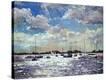 Stretched Canvas Print