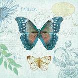 Butterflies and Botanicals 2-Christopher James-Framed Art Print