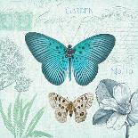 Butterflies and Botanicals 2-Christopher James-Art Print