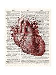 Vintage Anatomy Heart-Christopher James-Premium Giclee Print