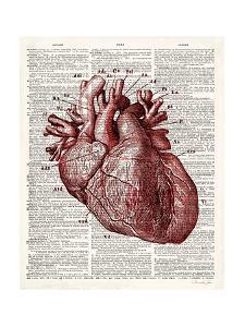 Human Heart Art Prints Paintings Posters Framed Wall Artwork