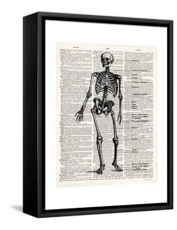 Vintage Anatomy Skeleton Framed Stretched Canvas Print - Christopher ...