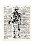 Vintage Anatomy Skull-Christopher James-Framed Premium Giclee Print