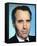 Christopher Lee-null-Framed Stretched Canvas