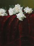 Peonies and Tea-Christopher Pierce-Premier Image Canvas