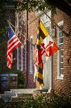 State and National U.S. Flags, Annapolis, Maryland, USA-Christopher Reed-Framed Premier Image Canvas
