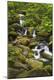 Premium Photographic Print