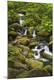 Premium Photographic Print