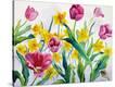 Stretched Canvas Print