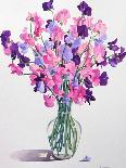 White and Purple Irises-Christopher Ryland-Giclee Print