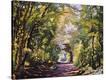 Stretched Canvas Print