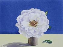 White Rose-Christopher Ryland-Giclee Print