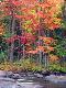 Premium Photographic Print