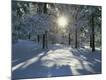 Photographic Print