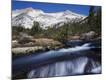 Premium Photographic Print