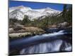 Photographic Print