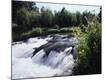 Photographic Print