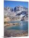 Premium Photographic Print