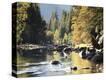 Stretched Canvas Print