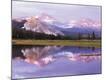 Premium Photographic Print