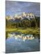 Photographic Print