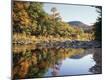 Premium Photographic Print