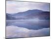 Premium Photographic Print