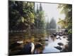 Premium Photographic Print