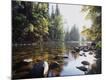 Photographic Print