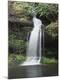 Premium Photographic Print