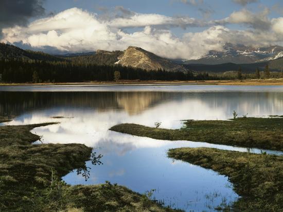 Premium Photographic Print, , large