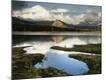 Premium Photographic Print