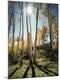 Premium Photographic Print