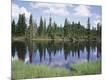 Photographic Print
