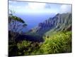 Premium Photographic Print