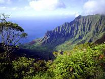 View Above the Na Pali Coast, Kauai, Hawaii, USA-Christopher Talbot Frank-Photographic Print