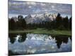 Premium Photographic Print