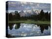Stretched Canvas Print