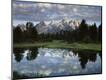 Photographic Print