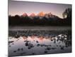 Premium Photographic Print