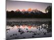 Photographic Print