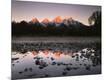 Photographic Print